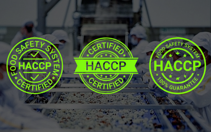 Tiêu chuẩn HACCP dành cho găng tay thực phẩm là gì ?